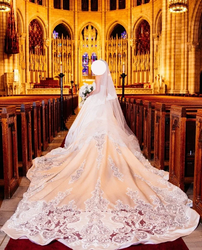Mega Deal Other Royal Ball Gown